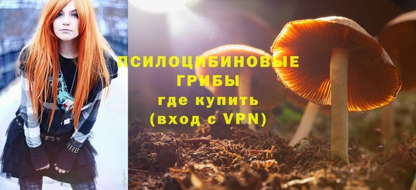 МДПВ Аркадак