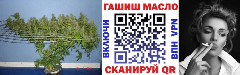 Купить  Сосновоборск  Дистиллят ТГК Wax 