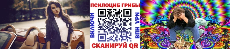 Купить где  Сосновоборск  Псилоцибиновые грибы мицелий 